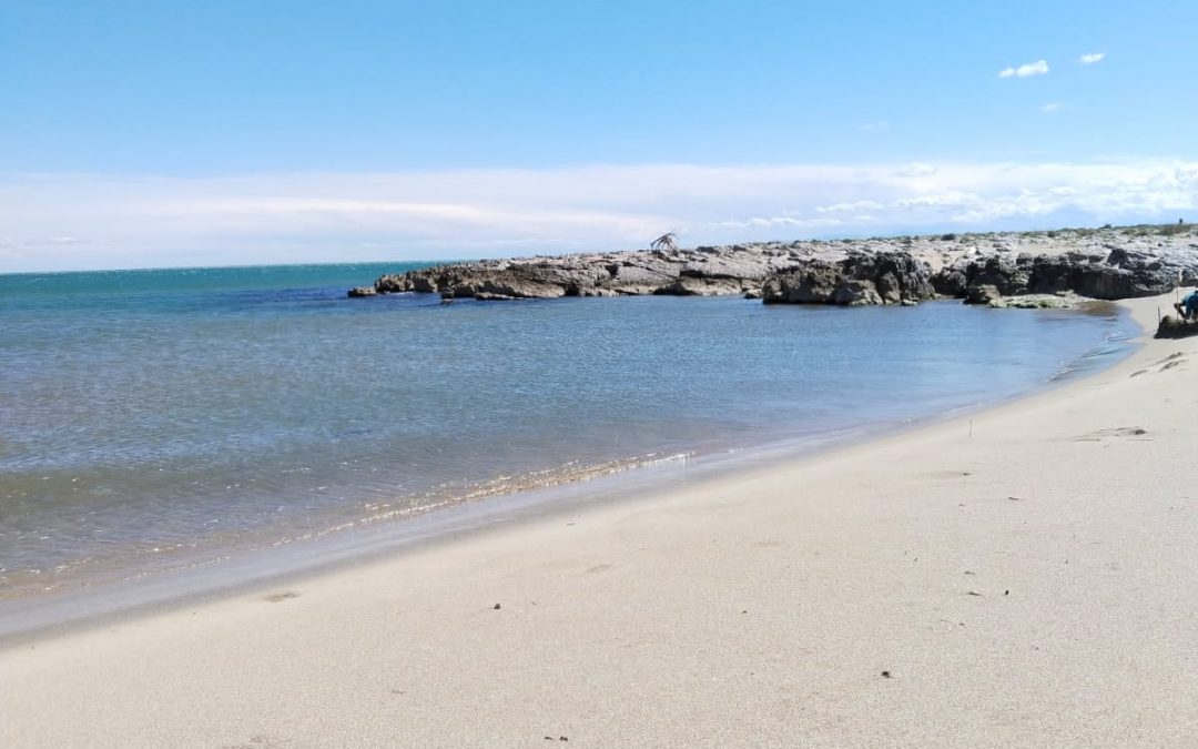 Un week-end à la mer pour les résidents