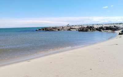 Un week-end à la mer pour les résidents