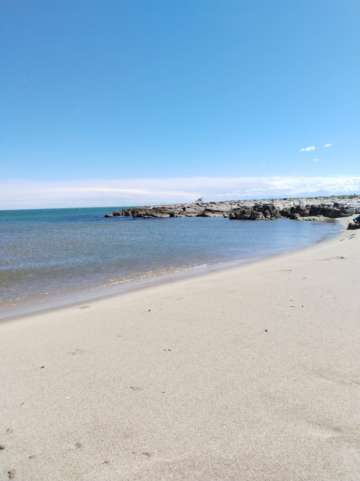 IMG-20260515-WA0006