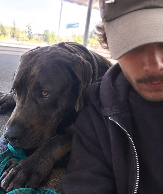 Cagnotte solidaire pour un de nos adhérents et son chien